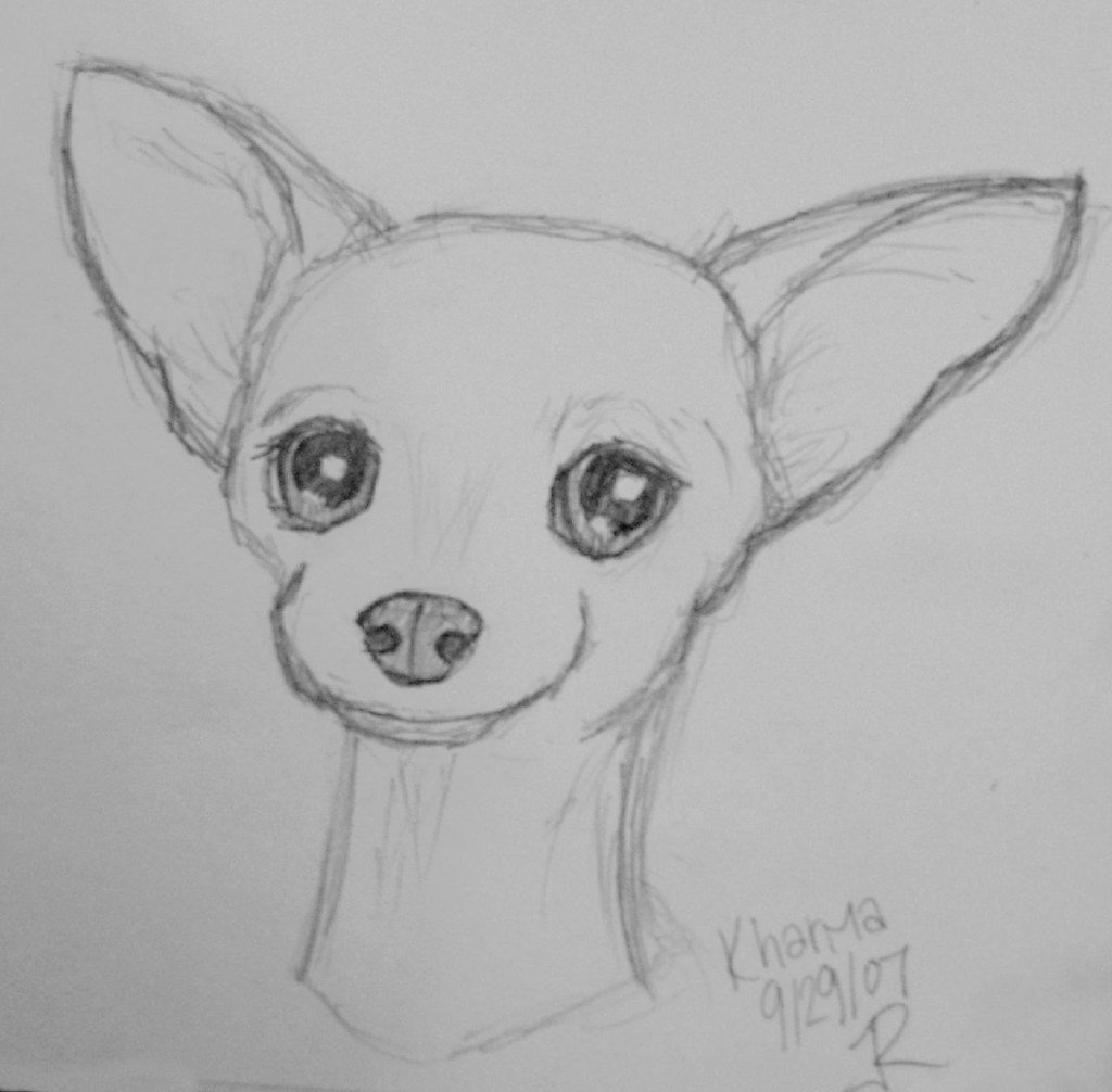 Sketch outline of Chihuahua