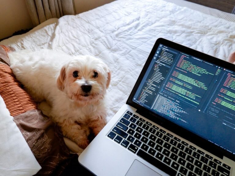 a dog lays on a bed next to a laptop