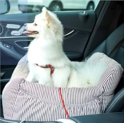 white dog on booster seat