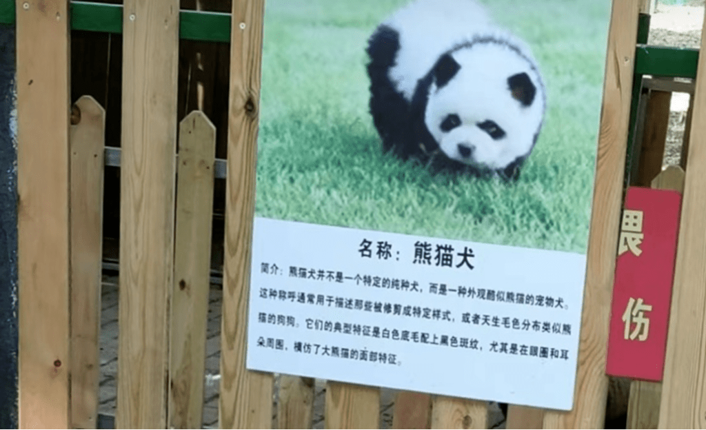 panda dog sign