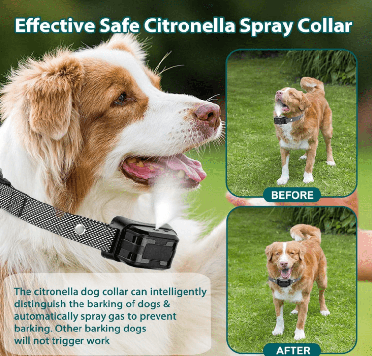 Citronella bark collar